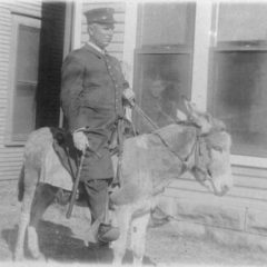 bricktown_collection_ocpd_ashburn-on-mule