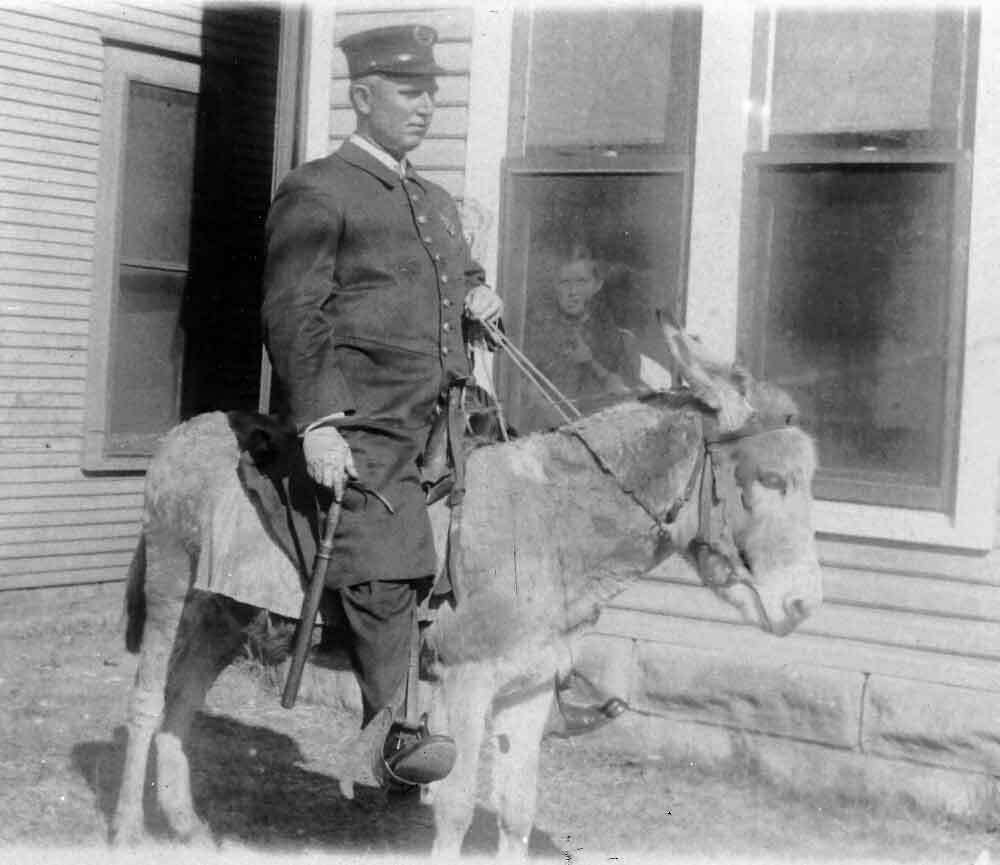 bricktown_collection_ocpd_ashburn-on-mule2